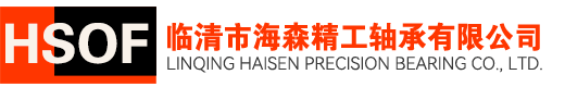 临清市海森精工轴承有限公司
