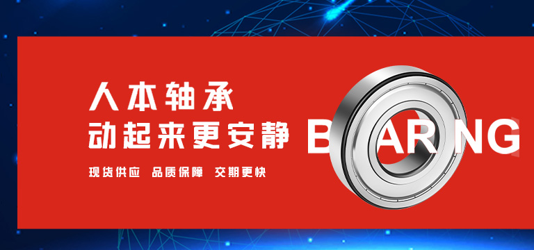临清市海森精工轴承有限公司