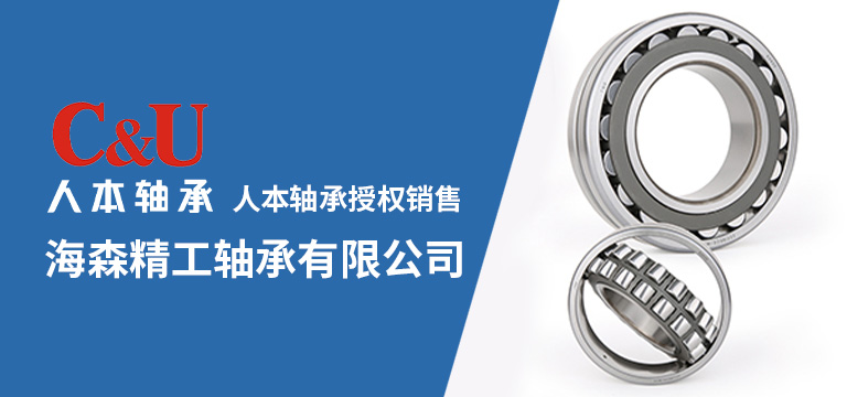 临清市海森精工轴承有限公司